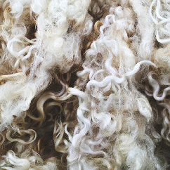 Image of Hydrolyzed Keratin (from Tibetan Wool)